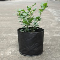 3 Gallon 5pcs Fabric Round Planter Planting Grow Bag Plant Pouch Root Pots Container, Black   